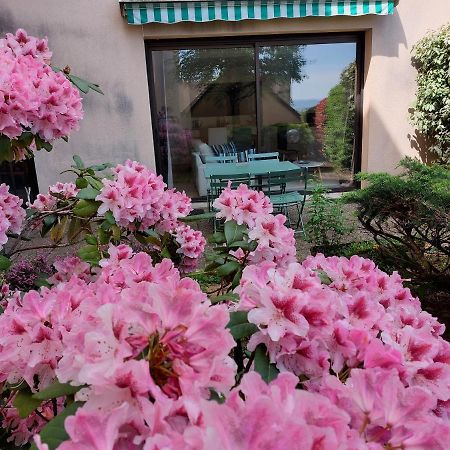 Le Denyspuech 55M2 Plein Centre Avec Jardin! Apartment โรเดซ ภายนอก รูปภาพ
